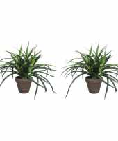 2x groene dracaena kunstplanten in bruine pot 34 cm